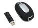 newegg