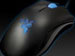newegg