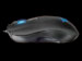 newegg