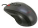 newegg