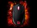 newegg