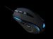 newegg