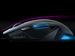 newegg
