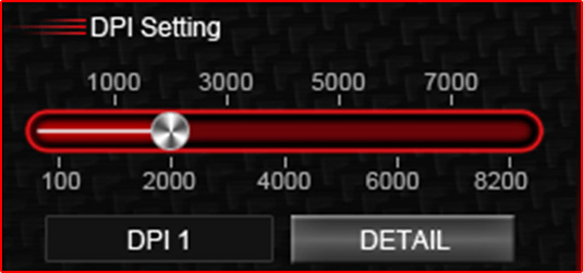 DS300