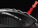 newegg