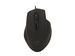 newegg