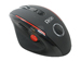 newegg