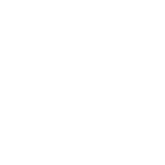 image for this item