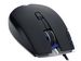 newegg