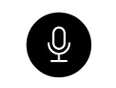 voice icon