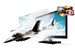 newegg