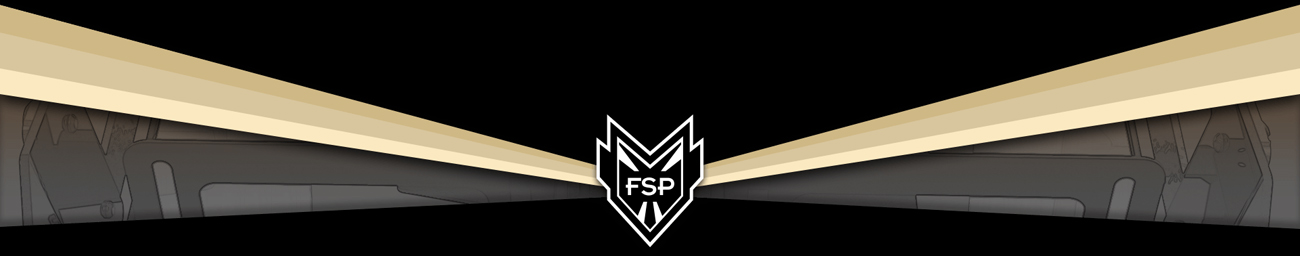 FSP Group