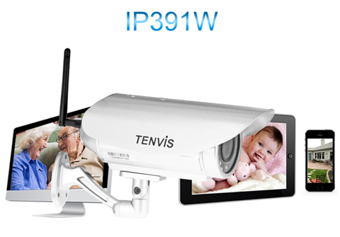 IP391W