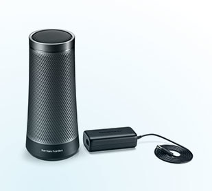 image for this item