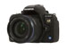 newegg