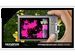 newegg