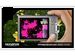 newegg