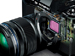 newegg