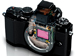 newegg