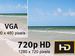 newegg
