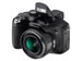 newegg