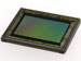 newegg