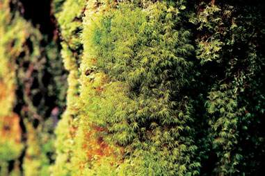 detailed view and application