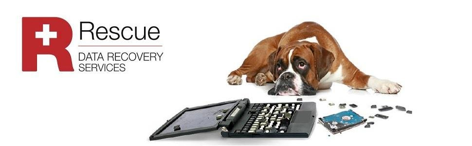 Rescue Data Recovery Services Banner with the Logo and an American Bulldog Next to a Torn Apart Laptop Computer with the HDD ripped out