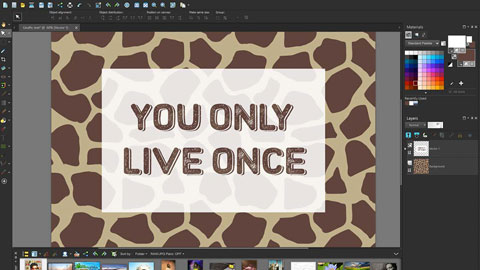 image for this item