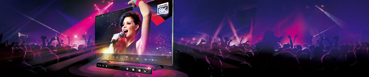 PowerDVD 19 Ultra Banner Showing a Singer on a Computer Screen Video and a Crowd Behind