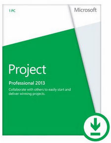 Project Professional