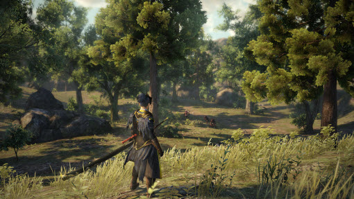 image for this item