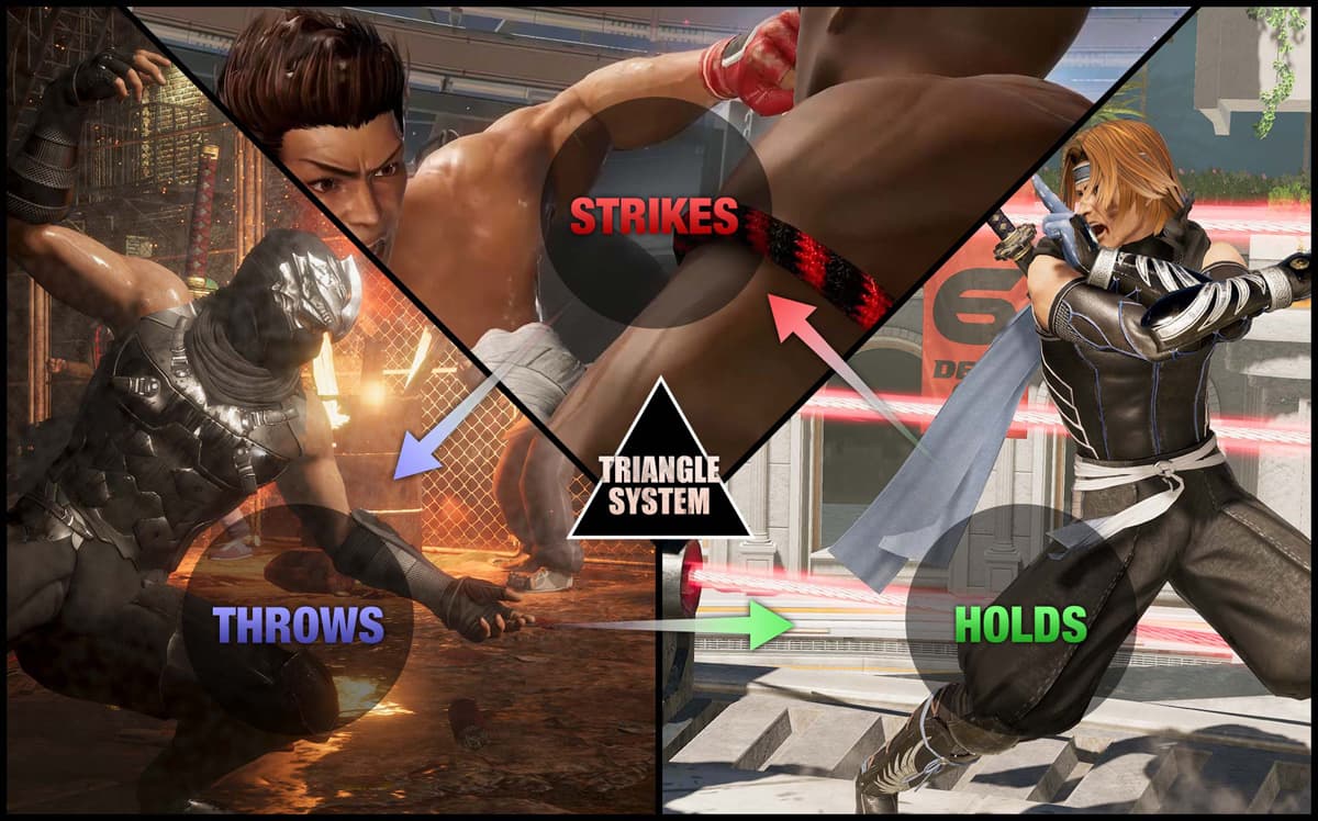 The strikes vs throws vs holds system as shown by characters Hayabusa, Jann Lee and Hayate