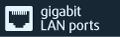 gigabit port icon