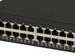newegg