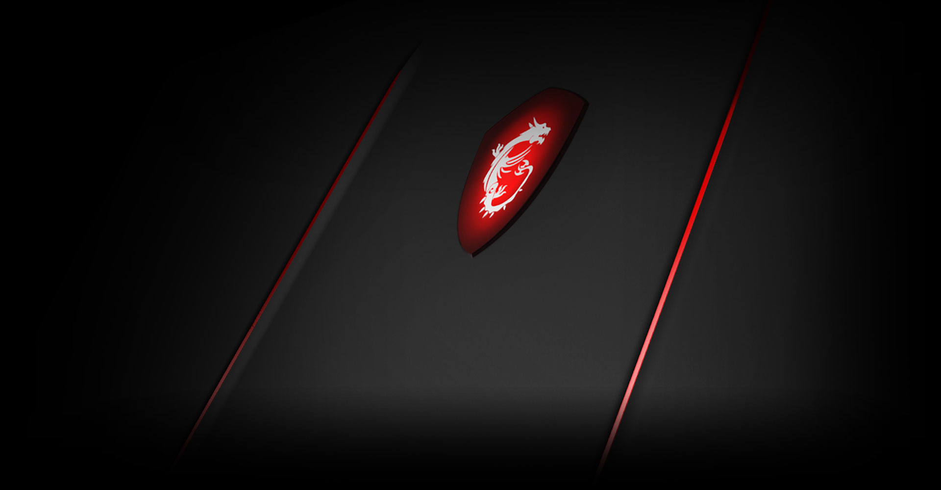 Dragon logo on the laptop.