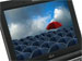 newegg
