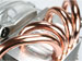 newegg