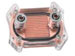 newegg
