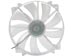 newegg