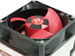 newegg