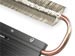newegg