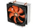 newegg