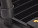 newegg