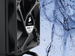newegg