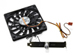 newegg