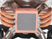 newegg