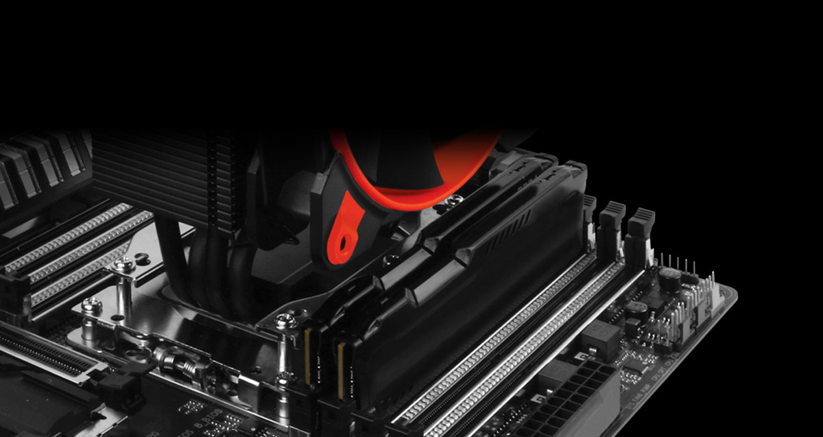 image for this item