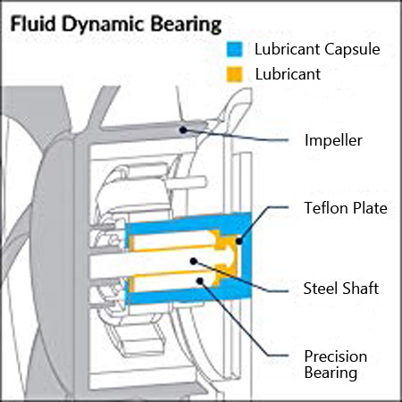 internal stucture of the bearing