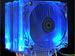 newegg